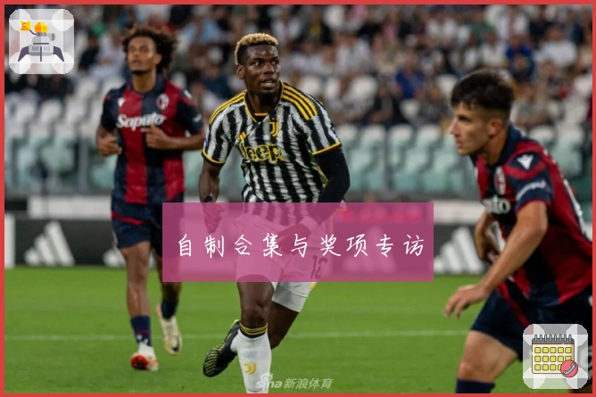 自制合集与奖项专访